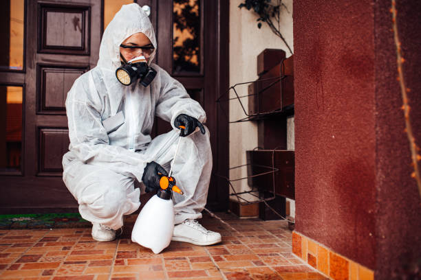 Reliable Wasp Removal contractor in Lithonia, GA by Show Me Pest Control